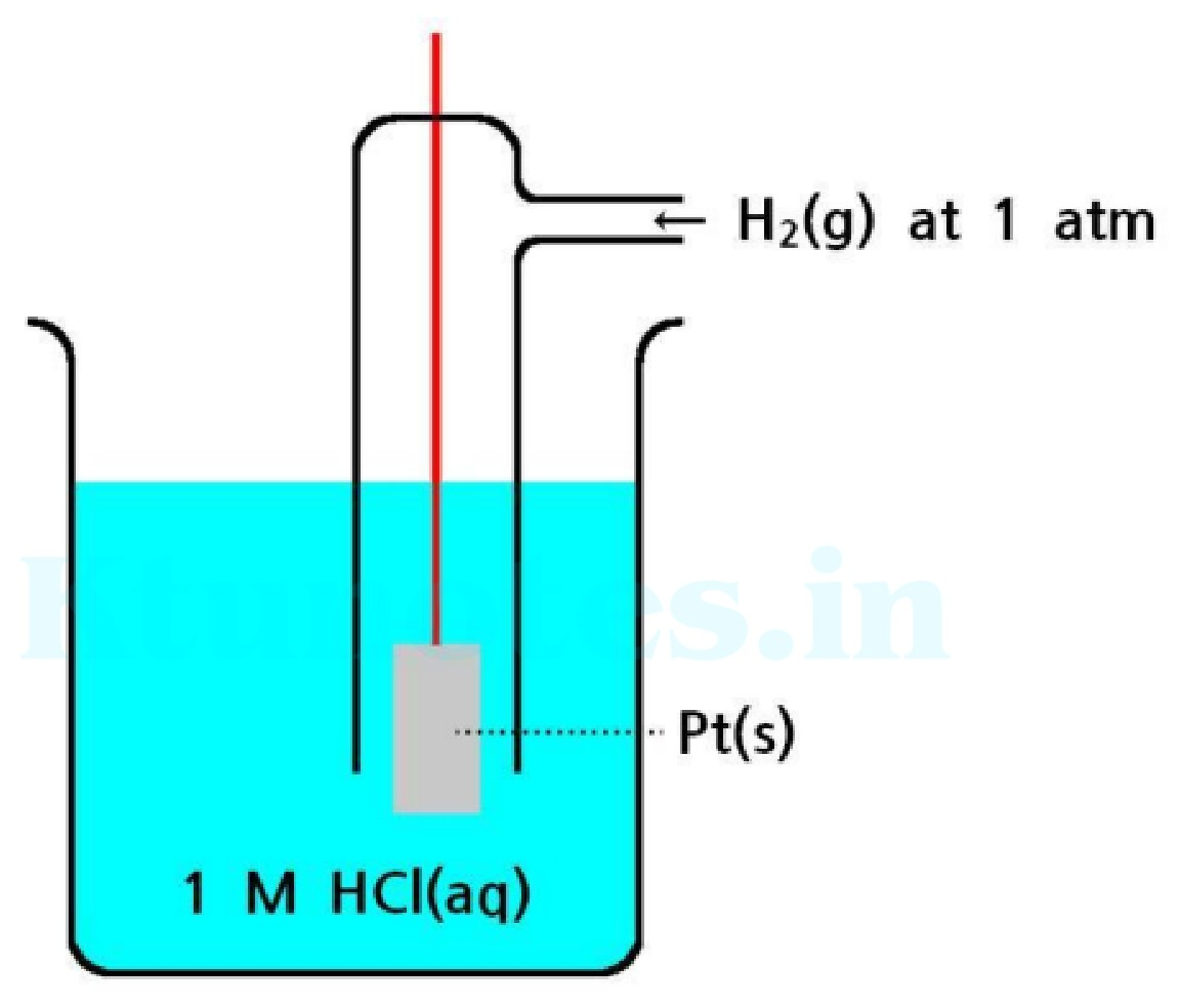 Standard Hydrogen Electrode (SHE) setup diagram
