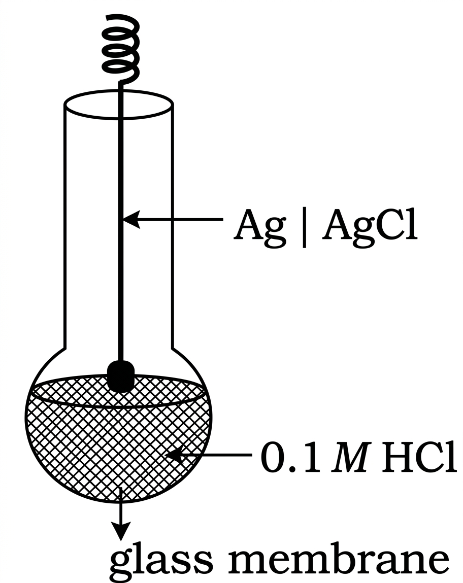 Diagram of a glass electrode