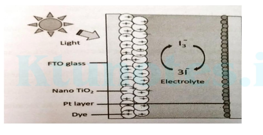 Diagram of Dye-sensitized solar cell (DSSC) structure