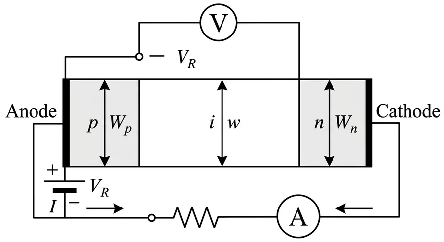 PIN photodiode structure: p region of width W_p, intrinsic region of width w and n region of width W_n, in a reverse-bias circuit